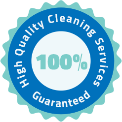 high quality cleaning badge